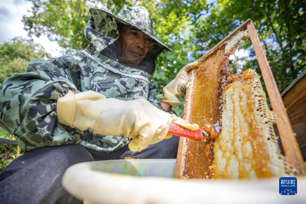 我的银河网址登录